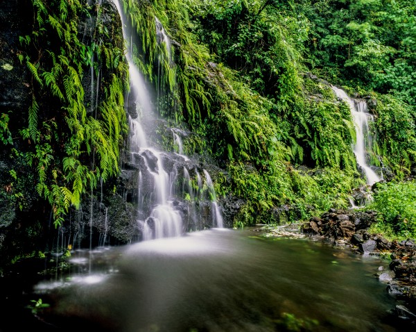Waterfall on Southeast coast of Upolu Island; Upolu Island, Samoa by PacificStock