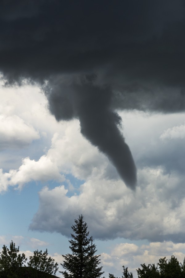 Dramatic funnel cloud created in dark storm clouds with silhouetted evergreen trees; Calgary, Alberta, Canada by PacificStock