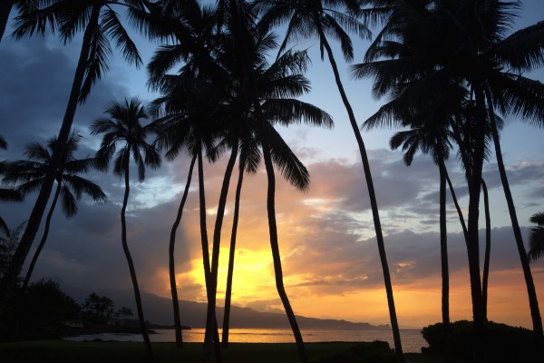 Sunset on the north shore of Maui; Spreckelsville, Maui, Hawaii, United States of America by PacificStock