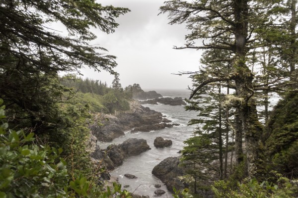 Rugged coastline on Wild Pacific Trail; Ucluelet, British Columbia, Canada by PacificStock