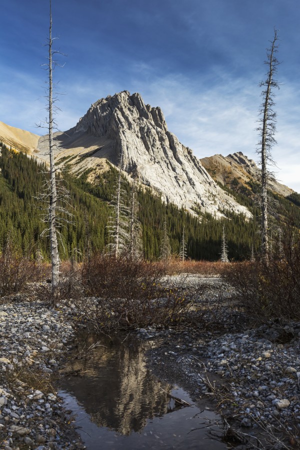 Mountain peak reflecting in still rocky stream in alpine meadow with blue sky and clouds, Kananaskis Provincial Park; Alberta, Canada by PacificStock
