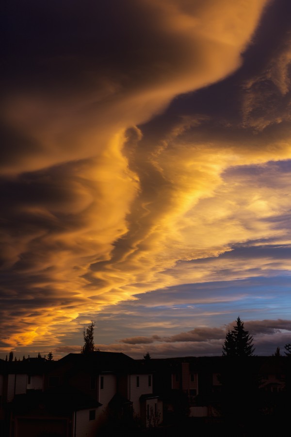 Dramatic colourful clouds at sunset with interesting formations and some blue sky with houses in a neighbourhood; Calgary, Alberta, Canada by PacificStock