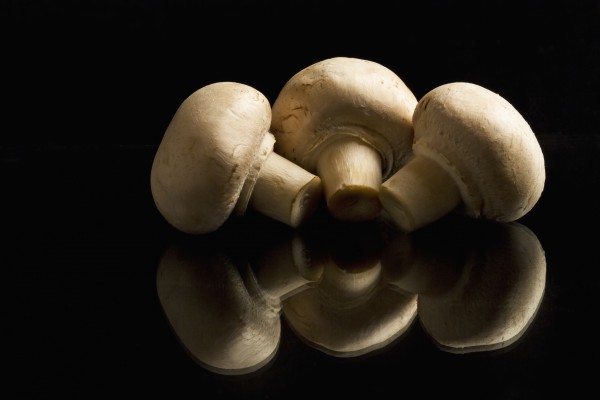 Three button mushrooms backlit and reflecting on black foreground and background; Calgary, Alberta, Canada by PacificStock