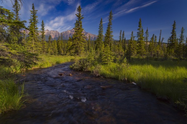 Creek that leads away from Lac Beauvert, Jasper National Park; Alberta, Canada by PacificStock