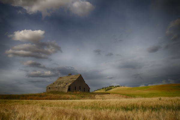 Old wooden barn in a wheat field under a cloudy sky; Palouse, Washington, United States of America by PacificStock