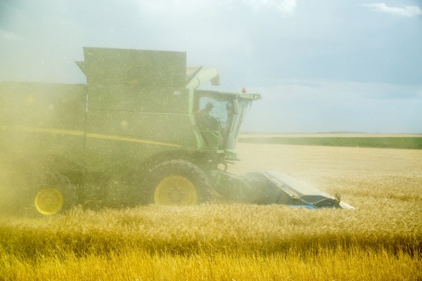 Chaff from the combine obscures view during wheat harvest; Paoli, Colorado, United States of America by PacificStock