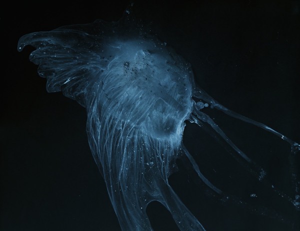 Glowing blue jellyfish in the dark water Print