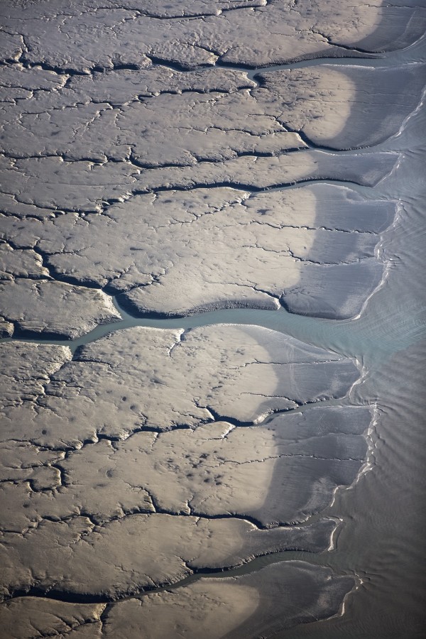 Aerial view of patterns made by water draining over the Silt Mud Flats along Cook Inlet, South-central Alaska; Alaska, United States of America  Print