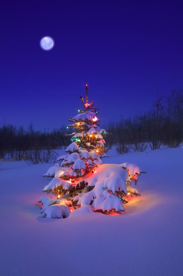 Christmas Tree Glowing Print