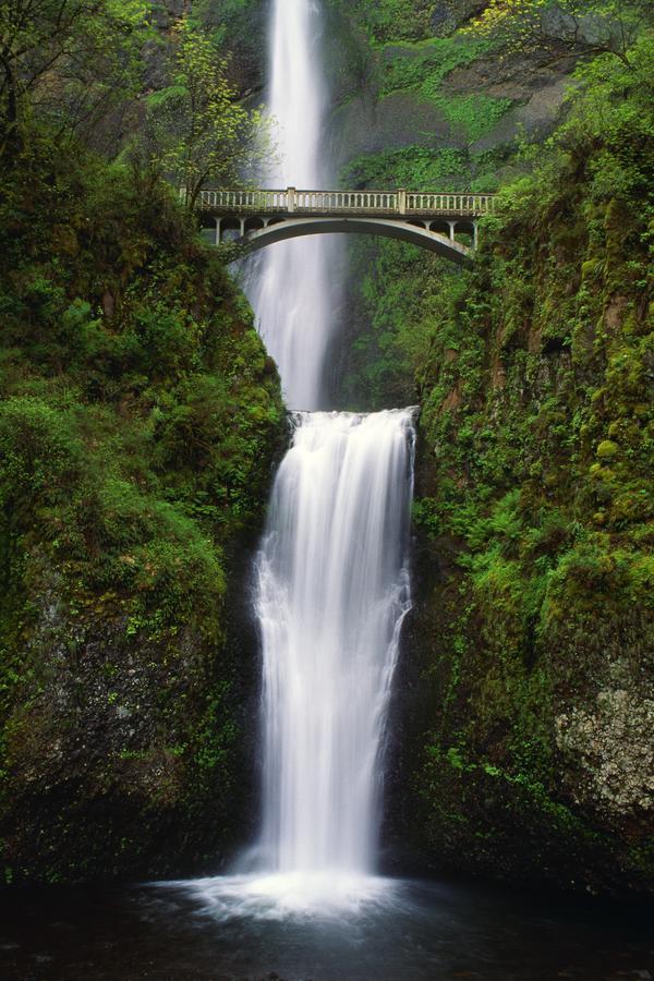 Multnomah Falls, Oregon, Usa by PacificStock