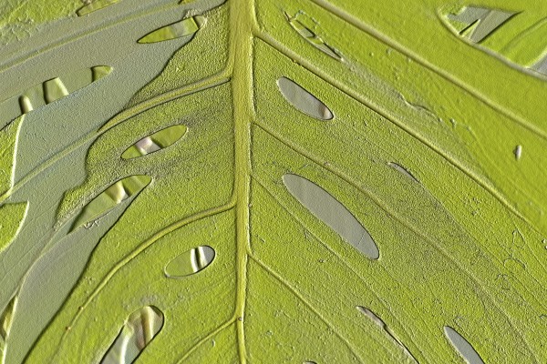 Leaf Texture Background Print