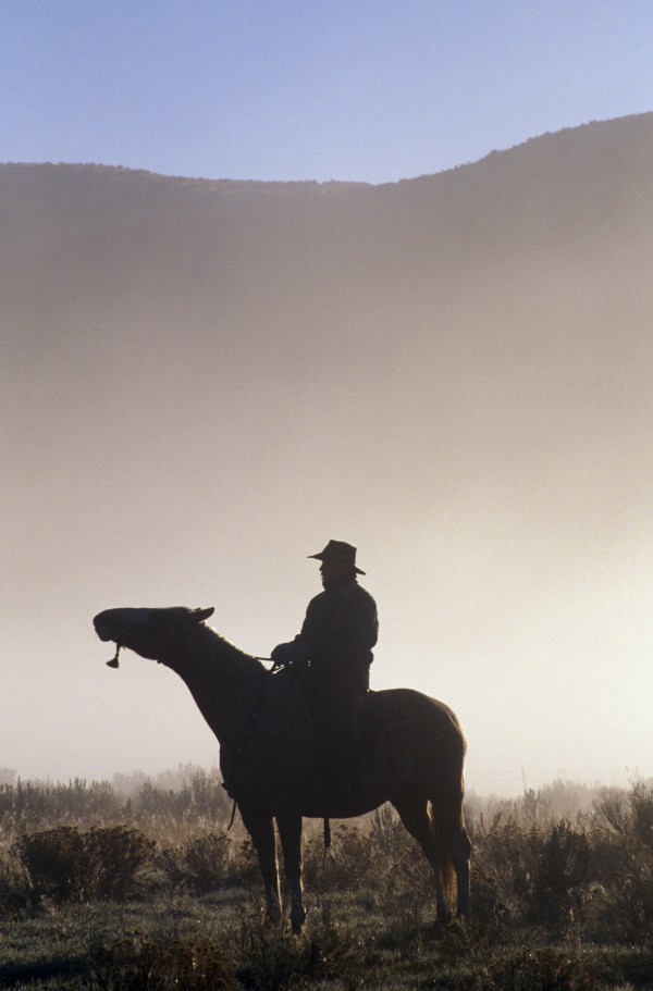 Silhouetted Cowboy On Horseback In Fog by PacificStock