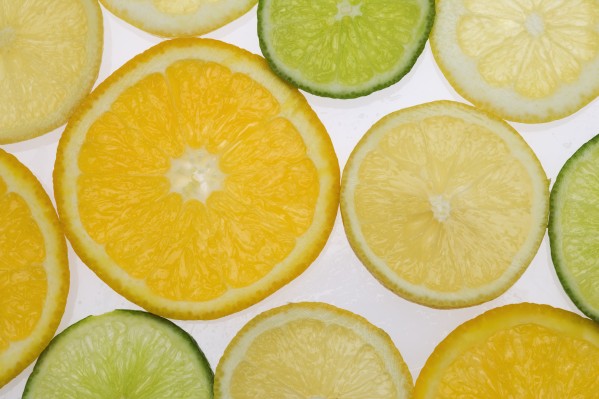 Citrus Slices by PacificStock