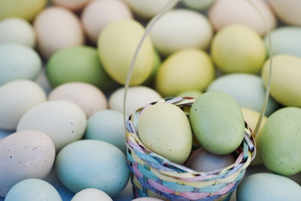 Easter Eggs And Basket by PacificStock