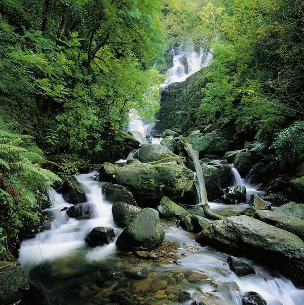 Torc Waterfall, Killarney, Co Kerry, Ireland by PacificStock