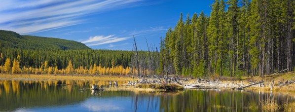 Wilmore Wilderness In The Fall, Alberta, Canada by PacificStock