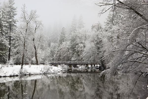 Yosemite National Park, California, Usa by PacificStock