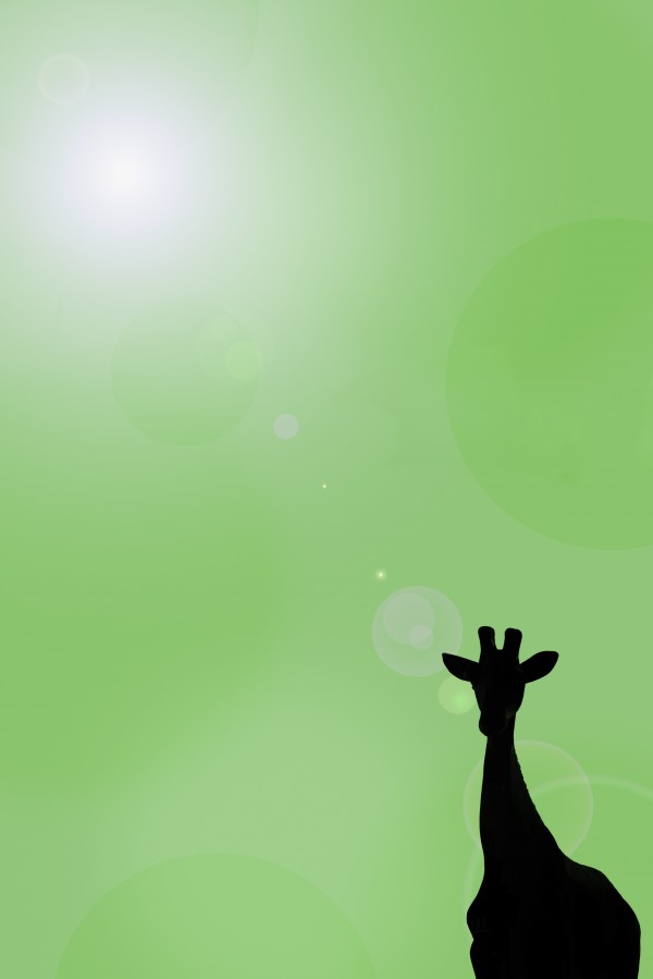 Silhouette Of A Giraffe by PacificStock