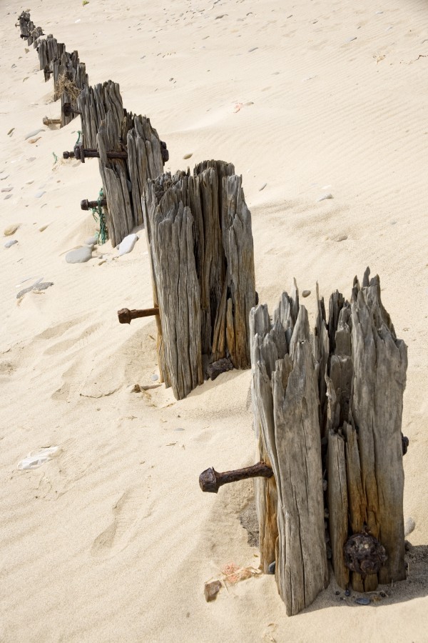Posts In Sand Print