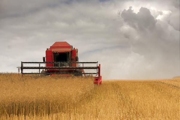 Combine Harvester, North Yorkshire, England by PacificStock