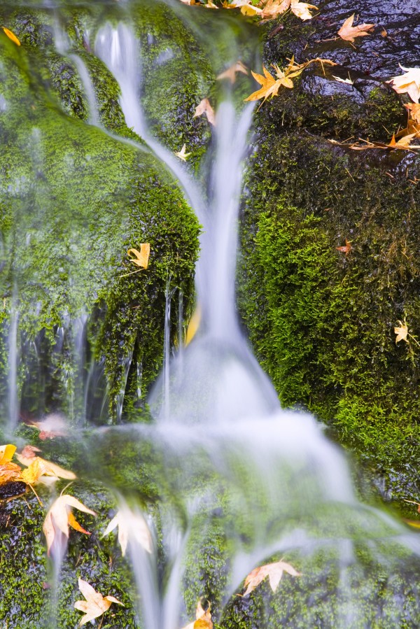 Crystal Springs Waterfall At Oregon, United States Of America by PacificStock