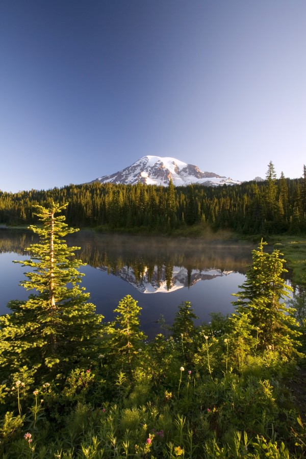 Lake And Mount Rainier, Mount Rainier National Park, Washington State, Usa by PacificStock