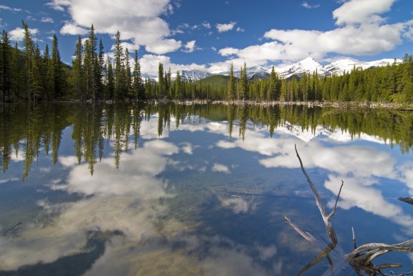 Reflection In Water, Kananaskis, Alberta by PacificStock