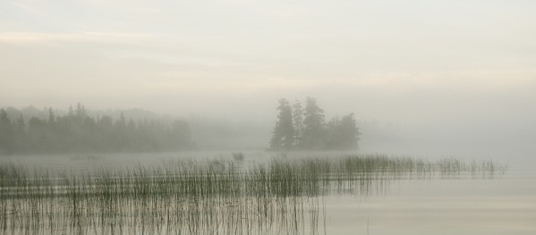 Lake Of The Woods, Ontario, Canada by PacificStock