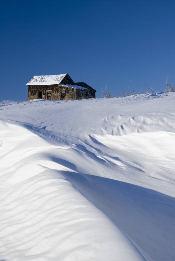 Alberta, Canada; Abandoned Farm Building Atop A Snowy Hill by PacificStock
