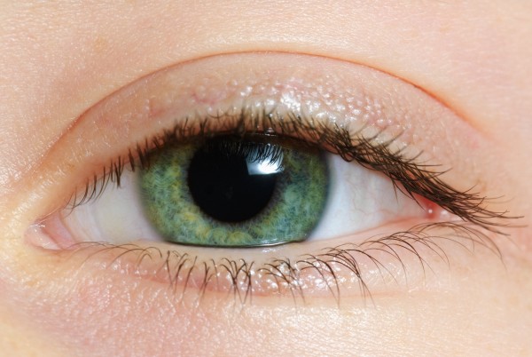 Closeup Of A Green Eye by PacificStock