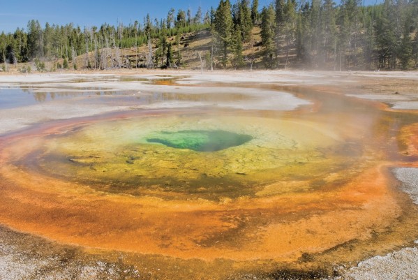 Yellowstone National Park, United States Of America; A Chromatic Pool by PacificStock