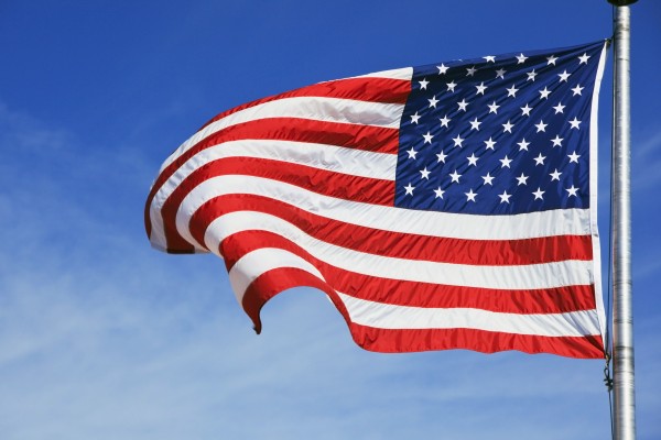 The American Flag Print