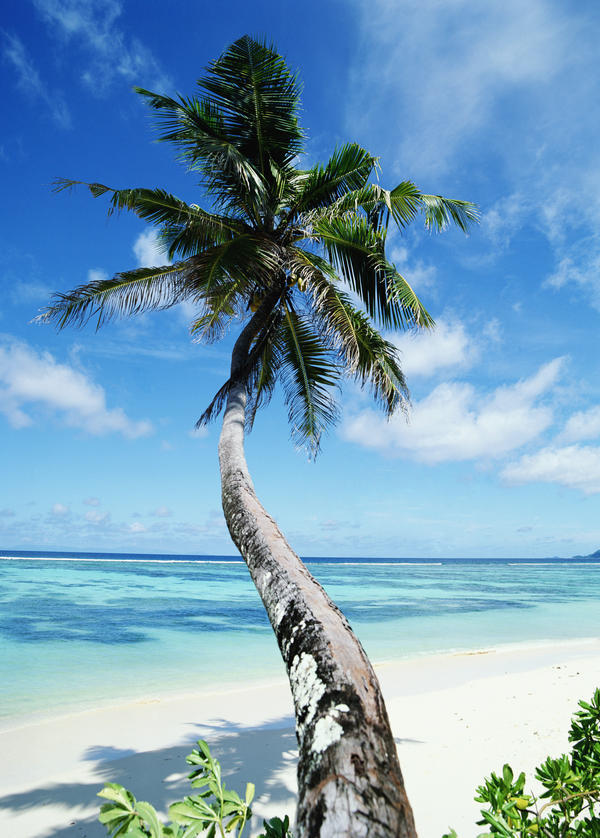 Anse Sourse D'argent Print