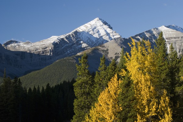 Autumn Colors In The Rocky Mountains; Alberta, Canada by PacificStock