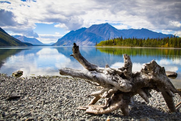 Lake Kathleen In Kluane National Park And Reserve In The Yukon Wilderness; Haines Junction, Yukon Territory, Canada by PacificStock