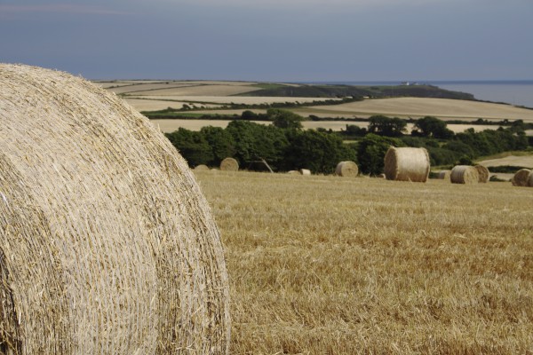 Straw Bales In A Field In East Cork In Munster Region; Guileen, County Cork, Ireland by PacificStock