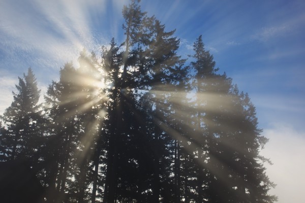 Sunrise Through The Morning Fog; Willamette Valley, Oregon, United States Of America by PacificStock