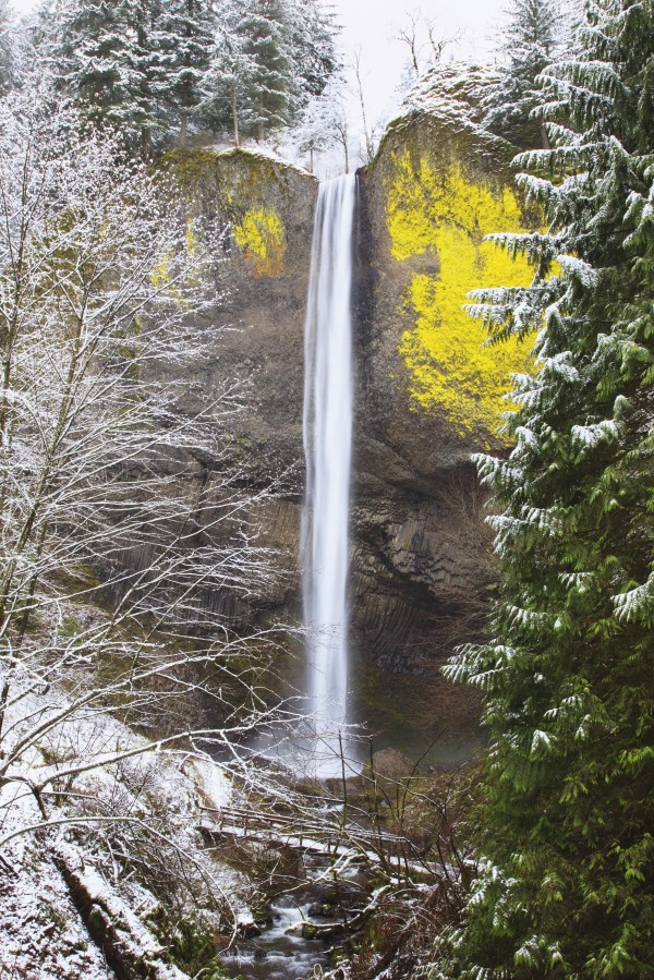 Snow Adds Beauty To Latourell Falls, Columbia River Gorge National Scenic Area; Oregon, United States Of America by PacificStock