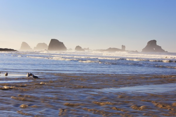 Tide At Indian Beach; Oregon, United States Of America by PacificStock