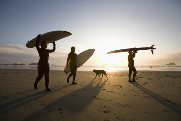 Silhouette Of Three Surfers And A Dog; Chesterman Beach Tofino Vancouver Island British Columbia Canada by PacificStock