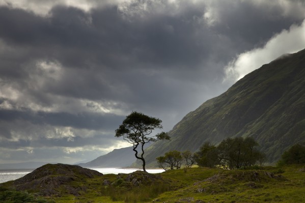 Dark Clouds Over A Landscape Along The Coast; Ardnamurchan, Argyll, Scotland by PacificStock