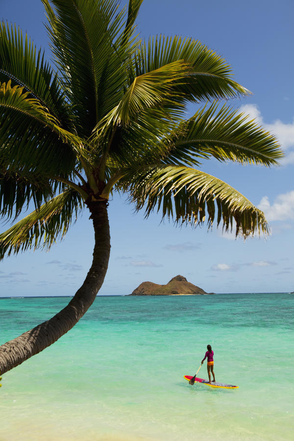 USA, Hawaii Islands, Oahu, Female Stand Up Paddler On Her Way To Mokulua Islands; Lanikai Beach by PacificStock