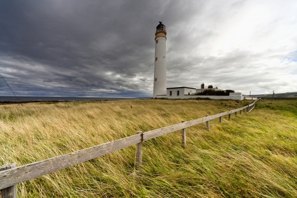Long Grass Blowing In The Wind Beside Barns Ness Lighthouse; Scottish Borders, Scotland by PacificStock