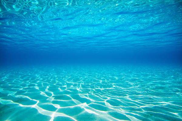 French Polynesia, Underwater Sandy Bottom And Surface Reflection. by PacificStock