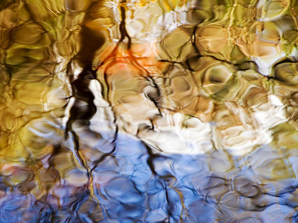 Elementals, Massachusetts, Seekonk, Caratunk Wildlife Refuge, Colorful Glassy Reflections On Water. by PacificStock