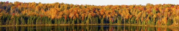 Panorama Of Trees Along The Water's Edge In Autumn Colours; South Bolton, Quebec, Canada by PacificStock
