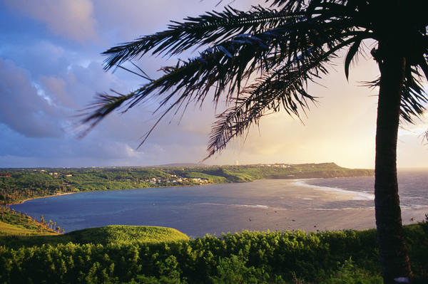 Guam, View Of Pago Bay From University Of Guam, Silhouette Of Palm Tree by PacificStock