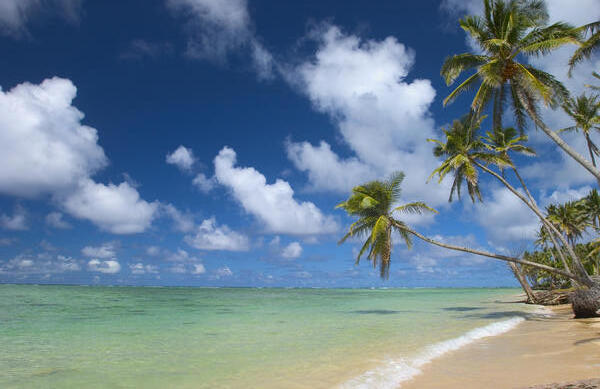 Hawaii, Palm Tree Leaning Over Beach, Polarized Sky, Turquoise Ocean. by PacificStock