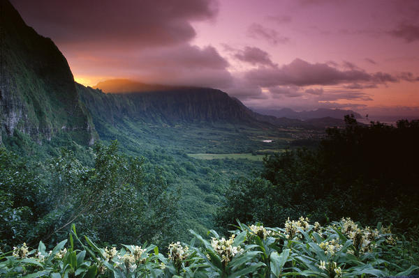 Hawaii, Oahu, Nuuanu Pali State Park, Ko'olau Mountains, Ginger Foreground Twilight A43G by PacificStock