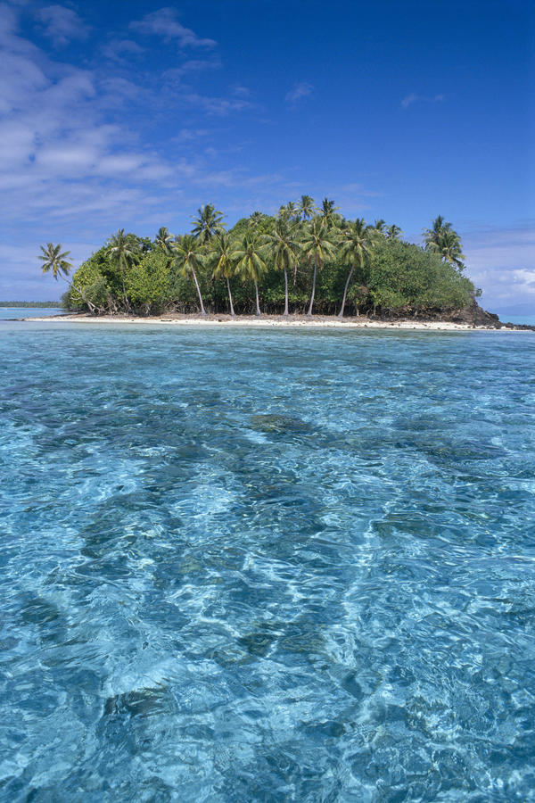 French Polynesia, Bora Bora, Motu Island, Clear Turquoise Water In Foreground B1696 by PacificStock